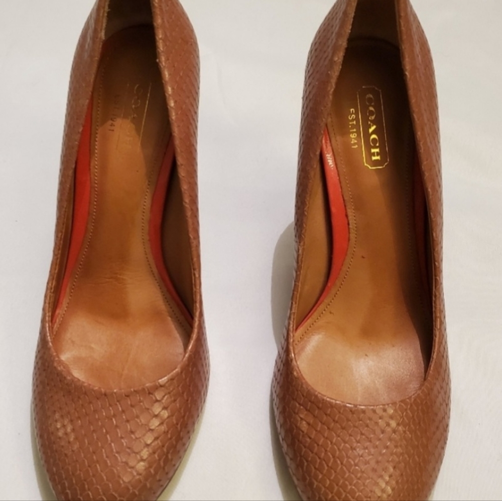 Coach reptile print with classic signature "C" signature logo.